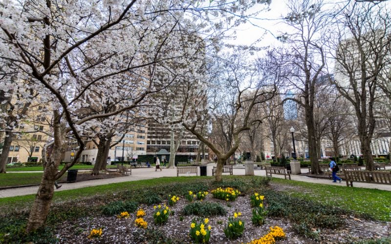 Springtime in Rittenhouse Square